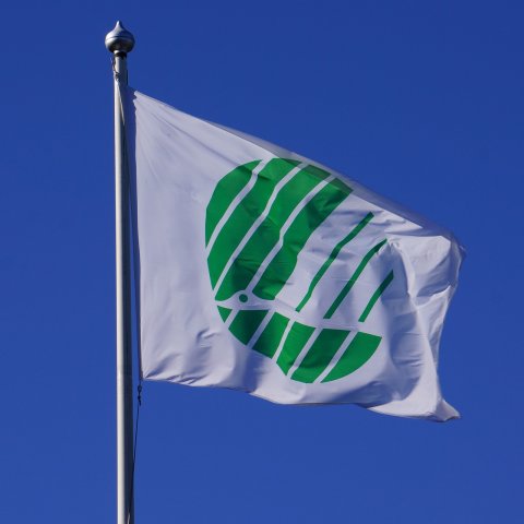 Ecolabel i inne certyfikaty środków czystości: co oznaczają dla Ciebie