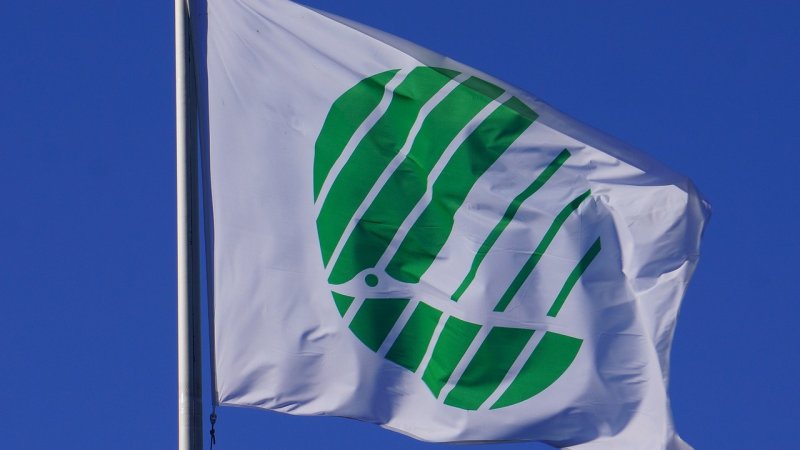 Ecolabel i inne certyfikaty środków czystości: co oznaczają dla Ciebie