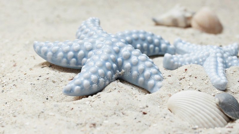 Jak czyścić gres bez ryzyka zmatowienia – 7 sprawdzonych metod